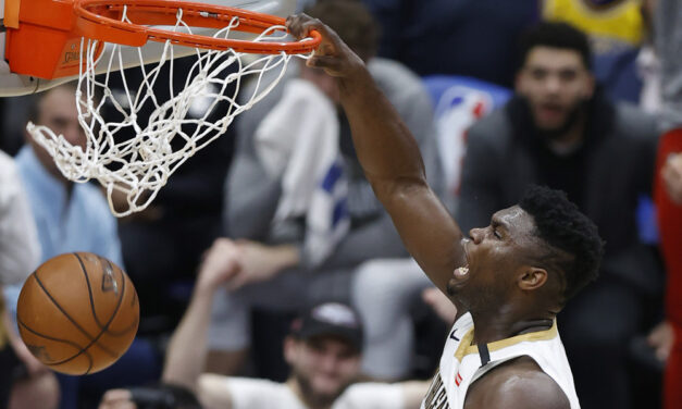 Zion Williamson And The Bee Theory
