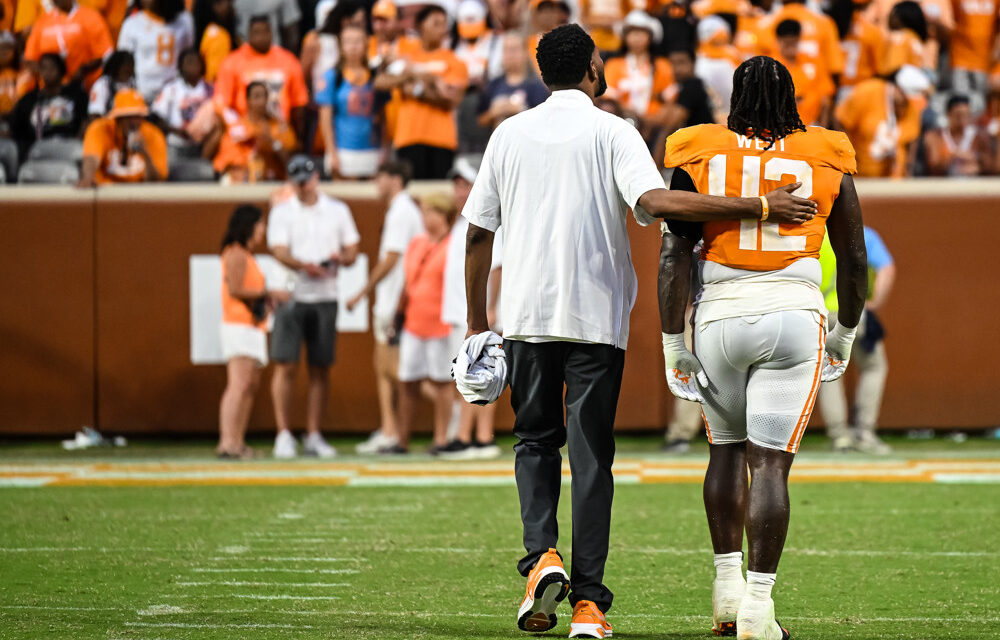 The Armchair Volunteer Week 3: Georgia On My Mind