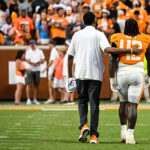 The Armchair Volunteer Week 3: Georgia On My Mind