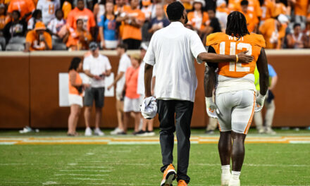 The Armchair Volunteer Week 3: Georgia On My Mind