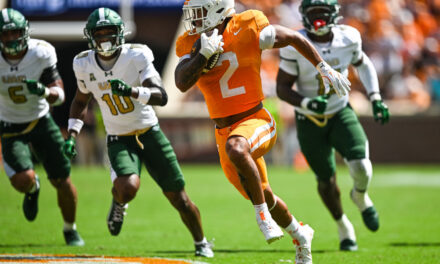 The Armchair Volunteer Week 4: Blazing Forward